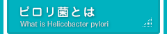 ピロリ菌外来